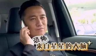 黄磊吃鸡爆料视频大全下载,揭秘美食背后的趣味瞬间